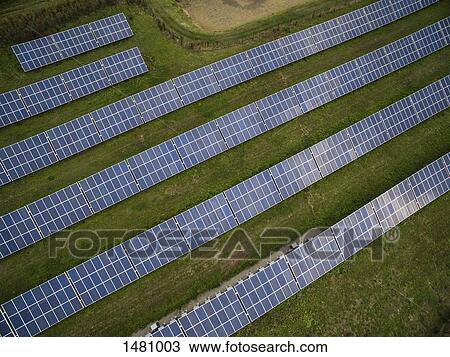 Aerial view of solar panels in field View Large Photo Image Stock Image - Aerial view of solar panels in field. Fotosearch