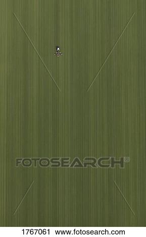 Stock Image - Aerial view tractor in green agricultural field, Hohenheim, Baden-Wuerttemberg, Germany. Fotosearch