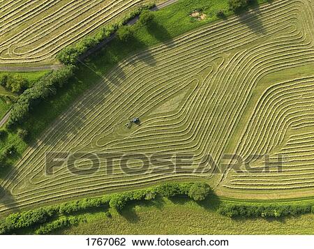 Aerial view tractor in patterned green agricultural crop, Hohenheim, Baden-Wuerttemberg, Germany View Large Photo Image Stock Image - Aerial view tractor in patterned green agricultural crop, Hohenheim, Baden-Wuerttemberg, Germany. Fotosearch