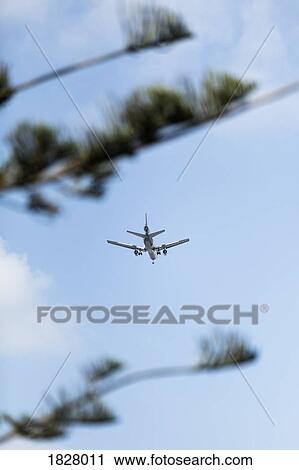 Airplane flying in sunny blue sky View Large Photo Image Stock Image - Airplane flying in sunny blue sky. Fotosearch
