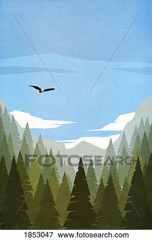 Stock Photo - Bald eagle flying over treetops. Fotosearch
