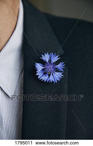Blue flower pin on mans lapel View Large Photo Image Stock Image - Blue flower pin on mans lapel. Fotosearch