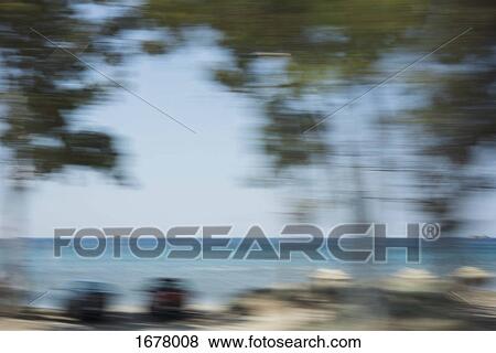 Blurred motion of trees by beach against clear sky View Large Photo Image Stock Photo - Blurred motion of trees by beach against clear sky. Fotosearch