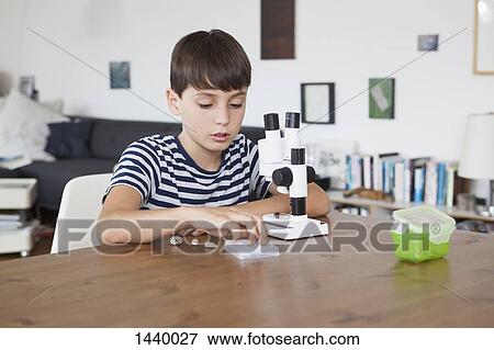 Boy exploring seashells with microscope at home View Large Photo Image Stock Photo - Boy exploring seashells with microscope at home. Fotosearch