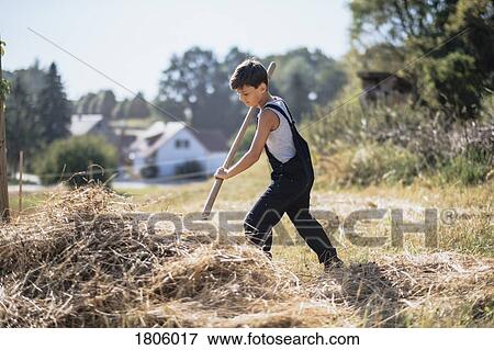 Boy in overalls working on sunny farm View Large Photo Image Stock Photo - Boy in overalls working on sunny farm. Fotosearch