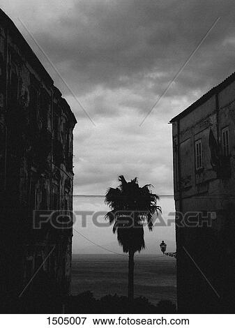 Buildings and palm tree against sea and cloudy sky, Tropea, Calabria, Italy View Large Photo Image Stock Photo - Buildings and palm tree against sea and cloudy sky, Tropea, Calabria, Italy. Fotosearch