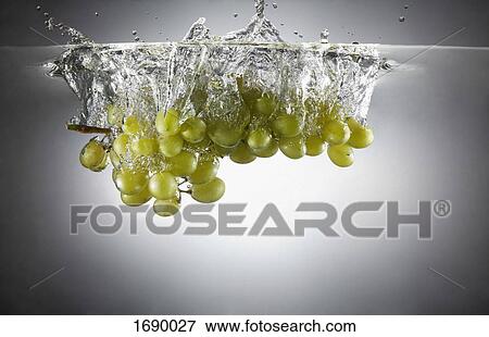 Bunch of green grapes in splashing water View Large Photo Image Stock Photo - Bunch of green grapes in splashing water. Fotosearch