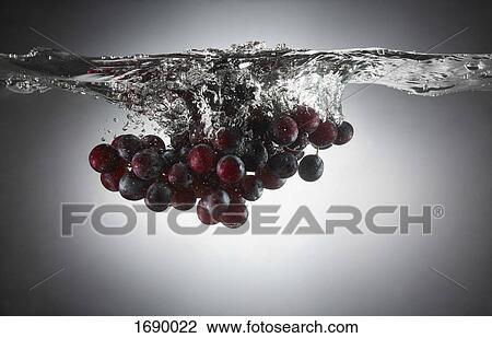 Stock Image - Bunch of maroon grapes in splashing water. Fotosearch