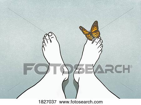 Butterfly landing on mans toe View Large Photo Image Stock Photo - Butterfly landing on mans toe. Fotosearch