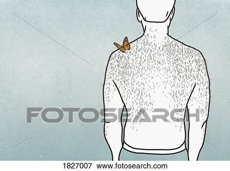 Butterfly on shoulder of man with hairy back View Large Photo Image Stock Photo - Butterfly on shoulder of man with hairy back. Fotosearch