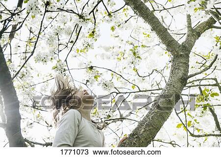 Stock Image - Carefree girl climbing spring apple blossom tree. Fotosearch