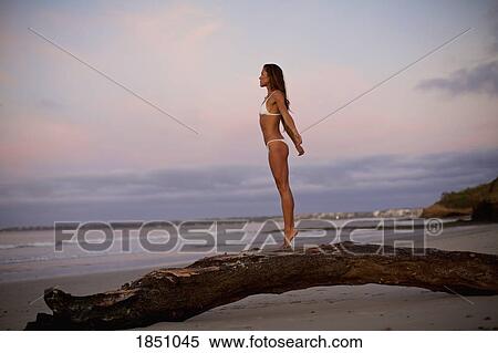 Carefree woman in bikini standing on driftwood on beach at dusk View Large Photo Image Stock Photography - Carefree woman in bikini standing on driftwood on beach at dusk. Fotosearch