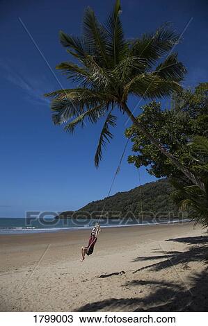 Carefree woman swinging on rope swing below palm tree on tropical beach, Port Douglas, Queensland View Large Photo Image Stock Image - Carefree woman swinging on rope swing below palm tree on tropical beach, Port Douglas, Queensland. Fotosearch
