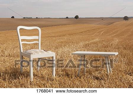 Stock Image - Chair and bench in sunny, rural field, Wiendorf, Mecklenburg-Vorpommern, Germany. Fotosearch