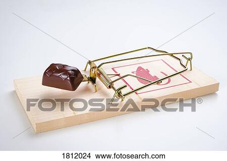 Chocolate on mousetrap View Large Photo Image Picture - Chocolate on mousetrap. Fotosearch
