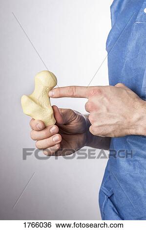 Stock Photograph - Close up doctor explaining femur bone model. Fotosearch