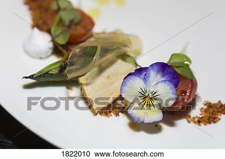 Close up gourmet appetizer with edible flower View Large Photo Image Stock Image - Close up gourmet appetizer with edible flower. Fotosearch