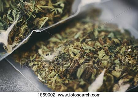 Stock Image - Close up marijuana in plastic bags. Fotosearch