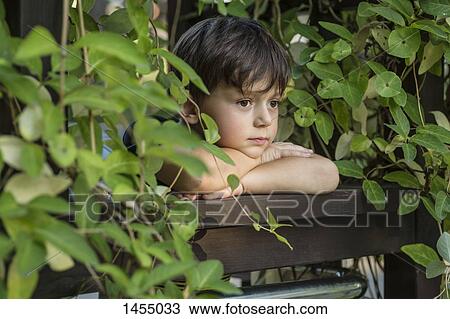 Close-up of boy standing at railing amidst plants View Large Photo Image Stock Image - Close-up of boy standing at railing amidst plants. Fotosearch