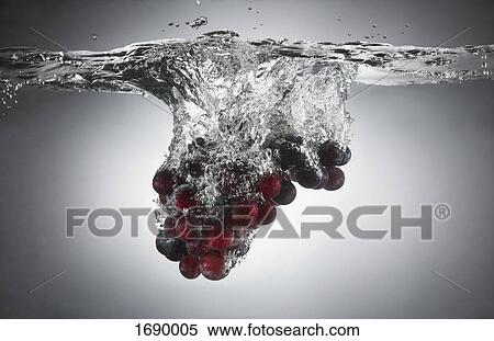 Stock Photography - Close-up of grapes in splashing water. Fotosearch