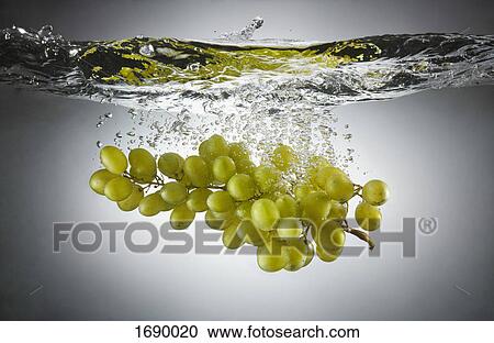 Close-up of green grapes in splashing water View Large Photo Image Stock Image - Close-up of green grapes in splashing water. Fotosearch