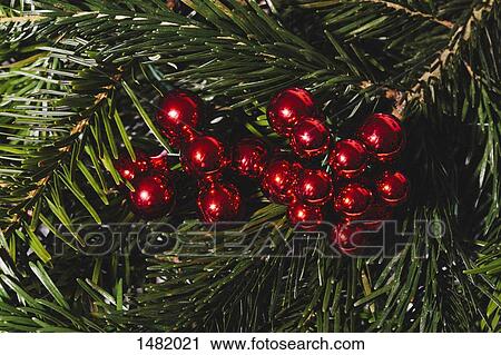 Stock Image - Close-up of red shiny Christmas ornaments hanging on tree. Fotosearch