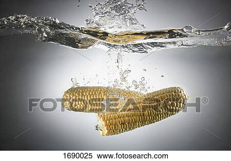 Stock Photography - Close-up of sweet corns in splashing water. Fotosearch