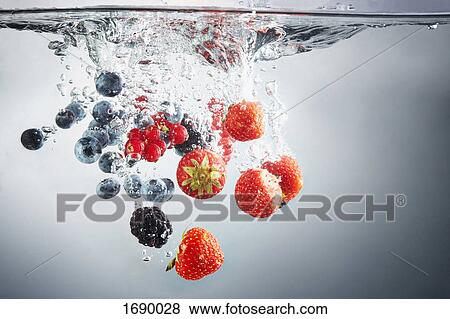 Close-up of various berries in splashing water View Large Photo Image Stock Photo - Close-up of various berries in splashing water. Fotosearch