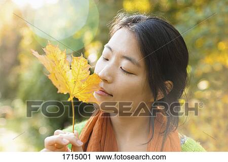 Close-up of young woman with closed eyes holding dry maple leaf at park on sunny day View Large Photo Image Stock Image - Close-up of young woman with closed eyes holding dry maple leaf at park on sunny day. Fotosearch