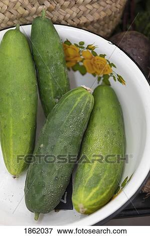 Close up organic green cucumbers in vintage bowl View Large Photo Image Stock Photo - Close up organic green cucumbers in vintage bowl. Fotosearch