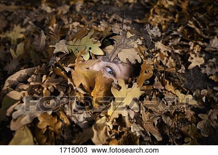 Close-up portrait of woman covered in dry leaves during autumn View Large Photo Image Stock Image - Close-up portrait of woman covered in dry leaves during autumn. Fotosearch