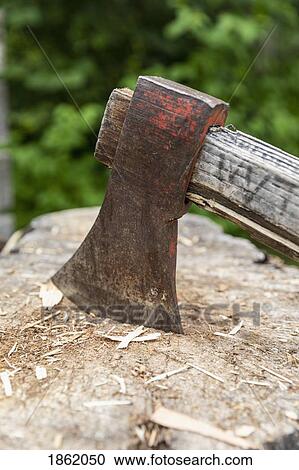 Close up wood chopping axe in tree stump View Large Photo Image Stock Image - Close up wood chopping axe in tree stump. Fotosearch