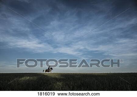Cowboy riding horse in rural field under blue sky and clouds View Large Photo Image Stock Photo - Cowboy riding horse in rural field under blue sky and clouds. Fotosearch