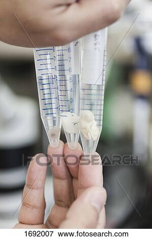 Stock Photo - Cropped hands of scientist holding animal fetus in test tubes at laboratory. Fotosearch