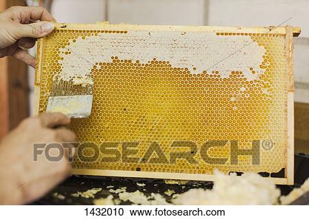 Stock Image - Cropped hands of woman scratching honeycomb at industry. Fotosearch