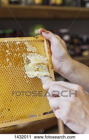 Stock Image - Cropped hands of woman scratching honeycomb. Fotosearch