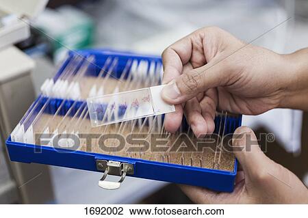 Stock Image - Cropped image of scientist holding microscope slide over box at laboratory. Fotosearch