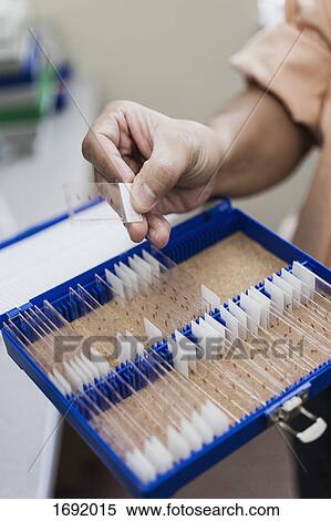 Stock Photography - Cropped image of scientist holding sample on microscope slide over container at laboratory. Fotosearch