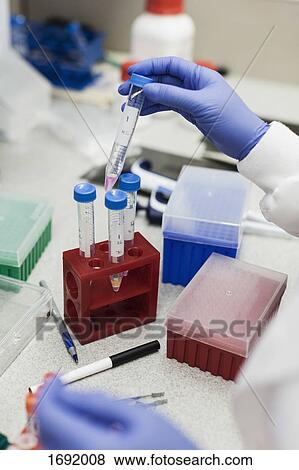 Cropped image of scientist holding test tube at table in laboratory View Large Photo Image Stock Photo - Cropped image of scientist holding test tube at table in laboratory. Fotosearch