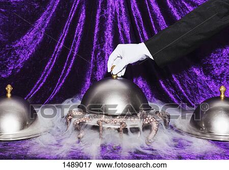 Cropped image of waiter lifting domed tray View Large Photo Image Stock Photo - Cropped image of waiter lifting domed tray. Fotosearch
