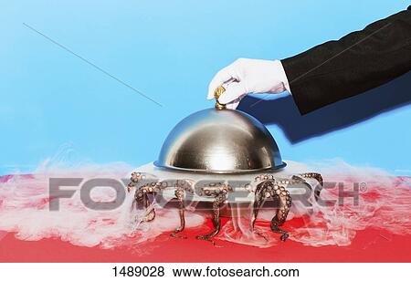 Cropped image of waiter lifting domed tray against blue background View Large Photo Image Stock Photo - Cropped image of waiter lifting domed tray against blue background. Fotosearch