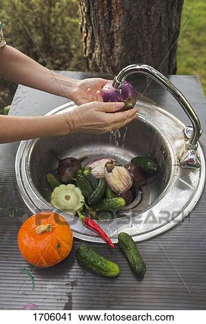 Cropped image of woman washing fresh vegetables at sink in yard View Large Photo Image Stock Image - Cropped image of woman washing fresh vegetables at sink in yard. Fotosearch