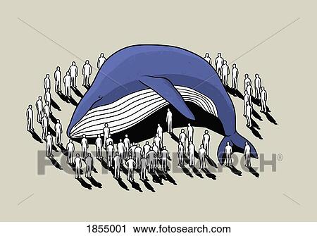 Crowd surrounding beached whale View Large Photo Image Stock Image - Crowd surrounding beached whale. Fotosearch