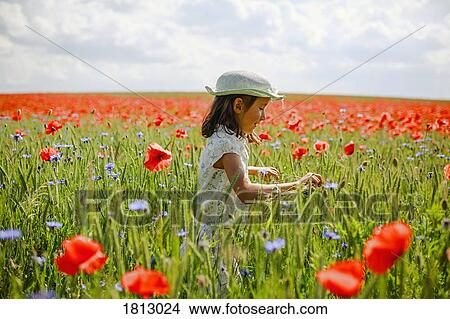 Curious girl in sunny, idyllic rural red poppy field View Large Photo Image Picture - Curious girl in sunny, idyllic rural red poppy field. Fotosearch