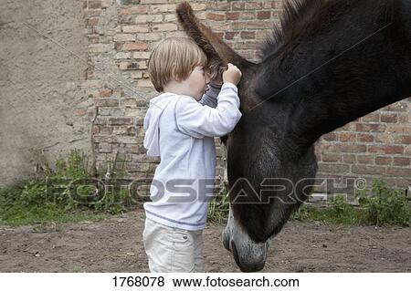 Stock Photo - Curious girl looking in ear of donkey. Fotosearch