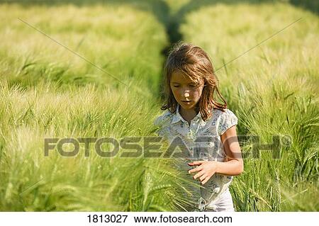 Stock Photo - Curious girl walking in sunny, idyllic rural green wheat field. Fotosearch