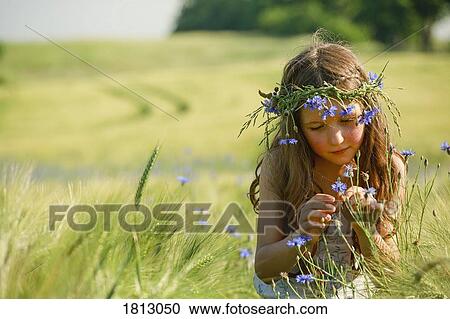 Curious girl with wildflowers in hair in sunny, rural wheat field View Large Photo Image Stock Image - Curious girl with wildflowers in hair in sunny, rural wheat field. Fotosearch