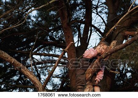 Cute girl climbing tree View Large Photo Image Stock Image - Cute girl climbing tree. Fotosearch