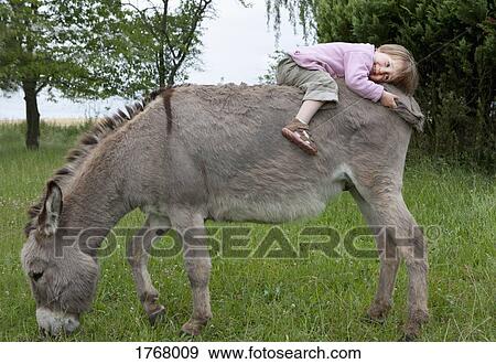 Cute girl laying on donkey in field View Large Photo Image Stock Photo - Cute girl laying on donkey in field. Fotosearch