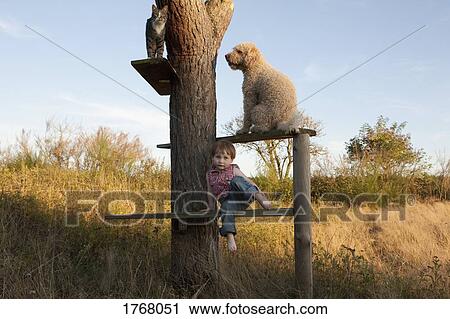 Stock Image - Cute girl on tree shelf with dog and cat. Fotosearch